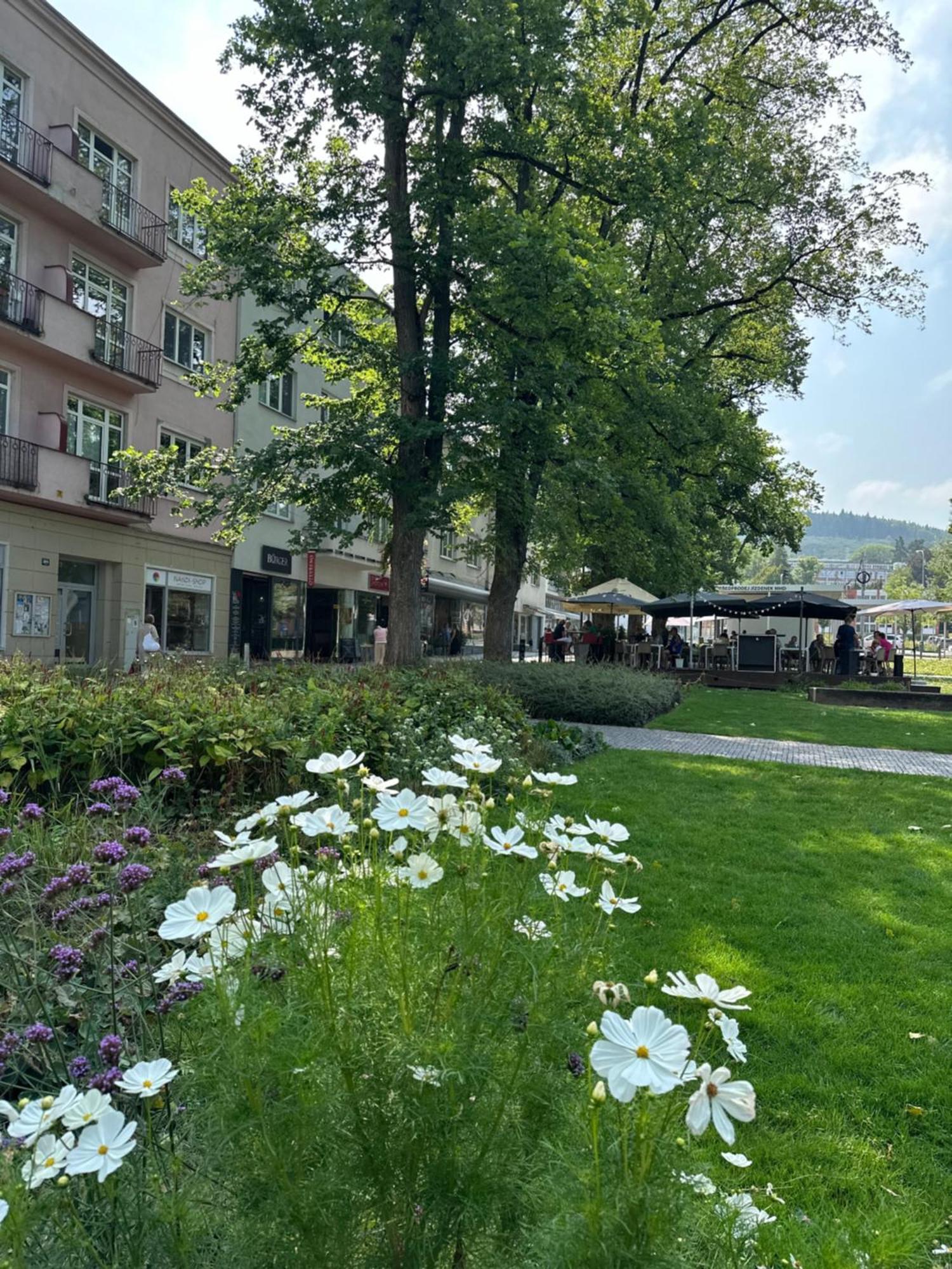 Rezidence Sadova Zlin Apartment Екстериор снимка